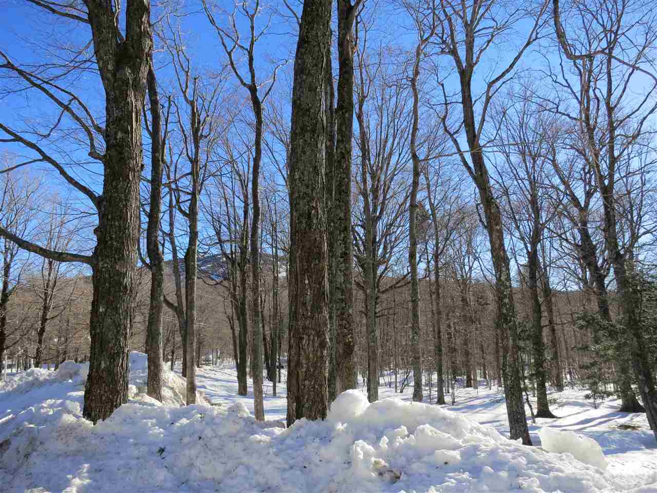 379 West Ridge Road South Londonderry, VT 05155 - Photo 6 of 18