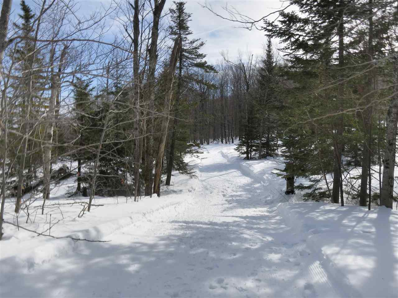 379 West Ridge Road South Londonderry, VT 05155 - Photo 7 of 18