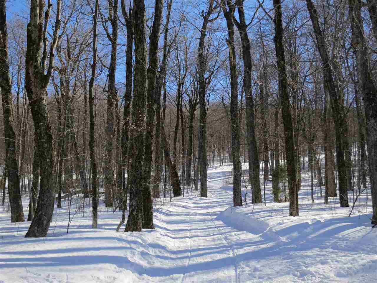 379 West Ridge Road South Londonderry, VT 05155 - Photo 8 of 18