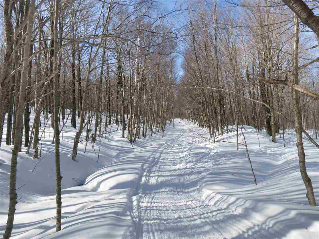 379 West Ridge Road South Londonderry, VT 05155 - Photo 9 of 18