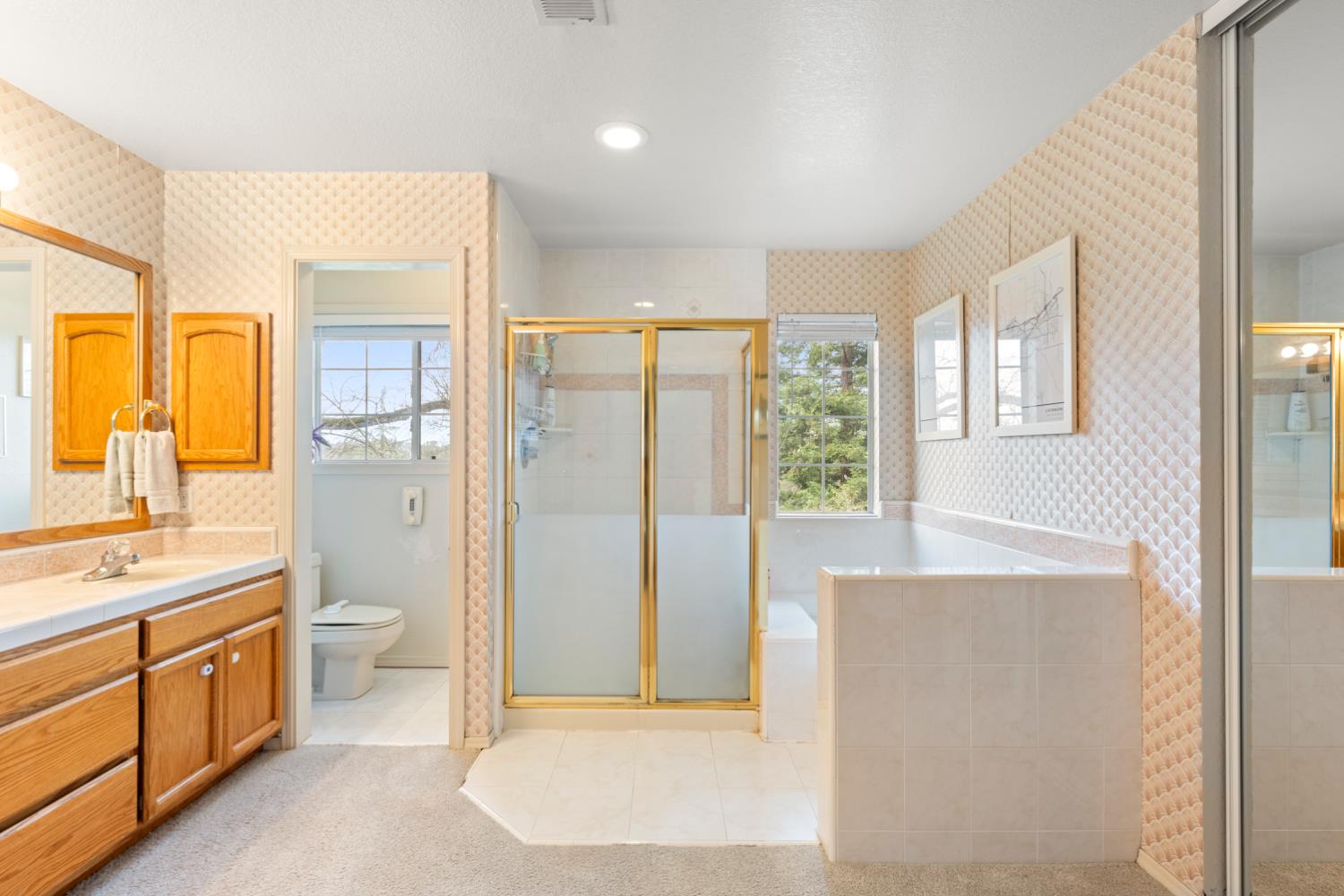 3788 Hillsborough Road Cameron Park, CA 95682 - Photo 45 of 73