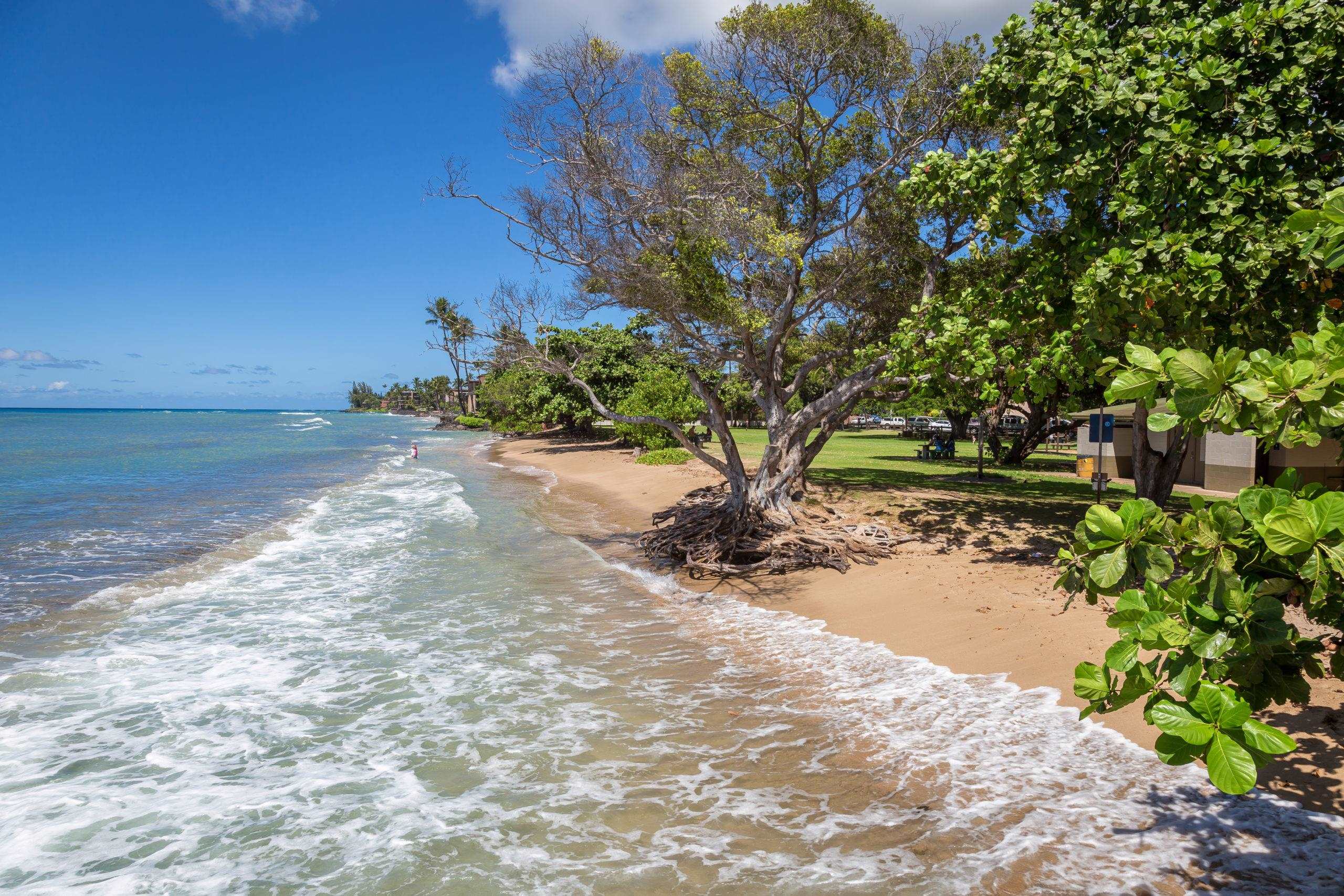 3740 Lower Honoapiilani Road, Unit B103 Lahaina, HI 96761 - Photo 15 of 15 Honokawai Beach Park