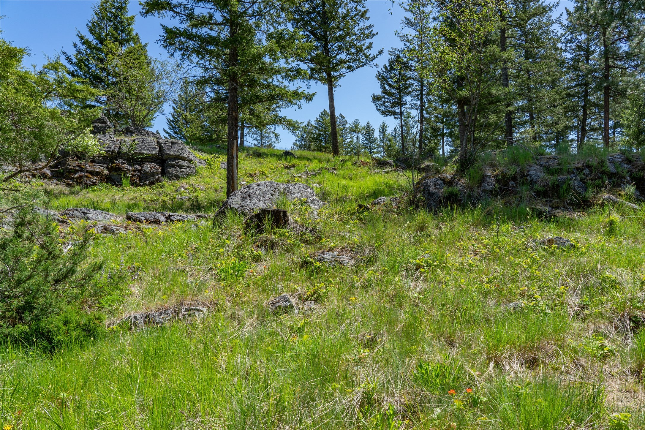 1193 Whispering Rock Road Bigfork, MT 59911 - Photo 40 of 48 Gallery Image 40