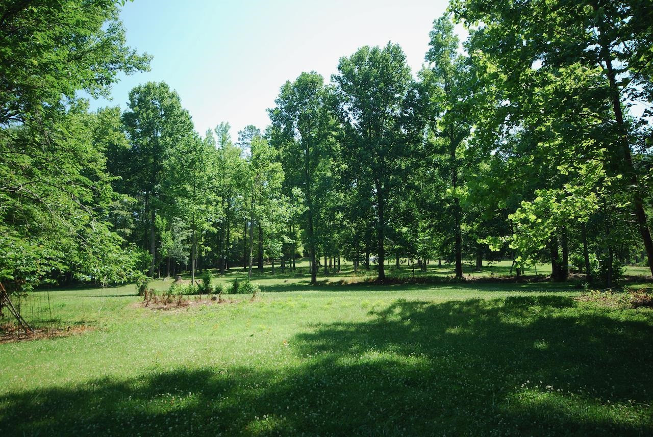 231 Cobb Road Jackson, TN 38305 - Photo 14 of 20 Photo 14
