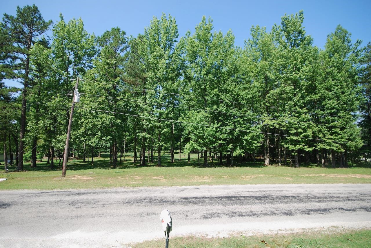 231 Cobb Road Jackson, TN 38305 - Photo 18 of 20 Photo 18