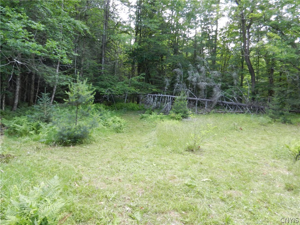 0 Bingham Mills Road Stratford, NY 13470 - Photo 3 of 12