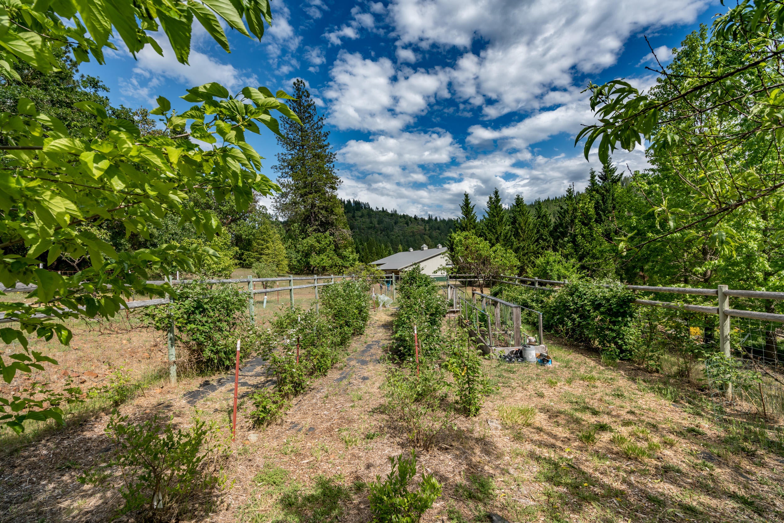 355 Naturescape Road Grants Pass, OR 97527 - Photo 53 of 59 Naturescape (50)
