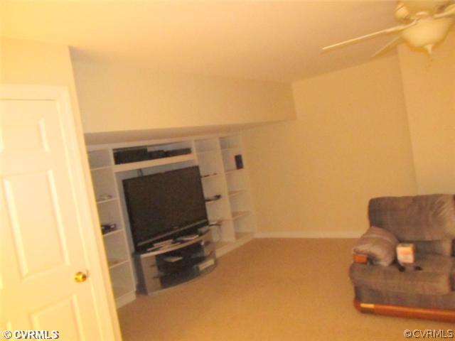 4235 Riddles Bridge Road Goochland, VA 23063 - Photo 19 of 20 Basement