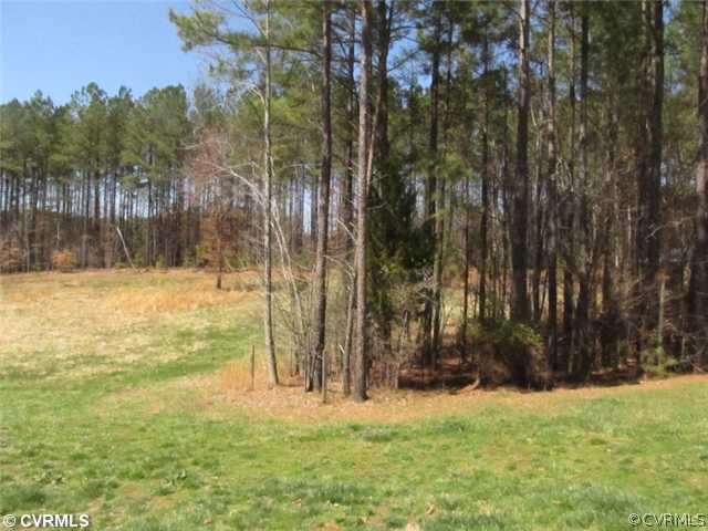 4235 Riddles Bridge Road Goochland, VA 23063 - Photo 5 of 20 Yard/Garden