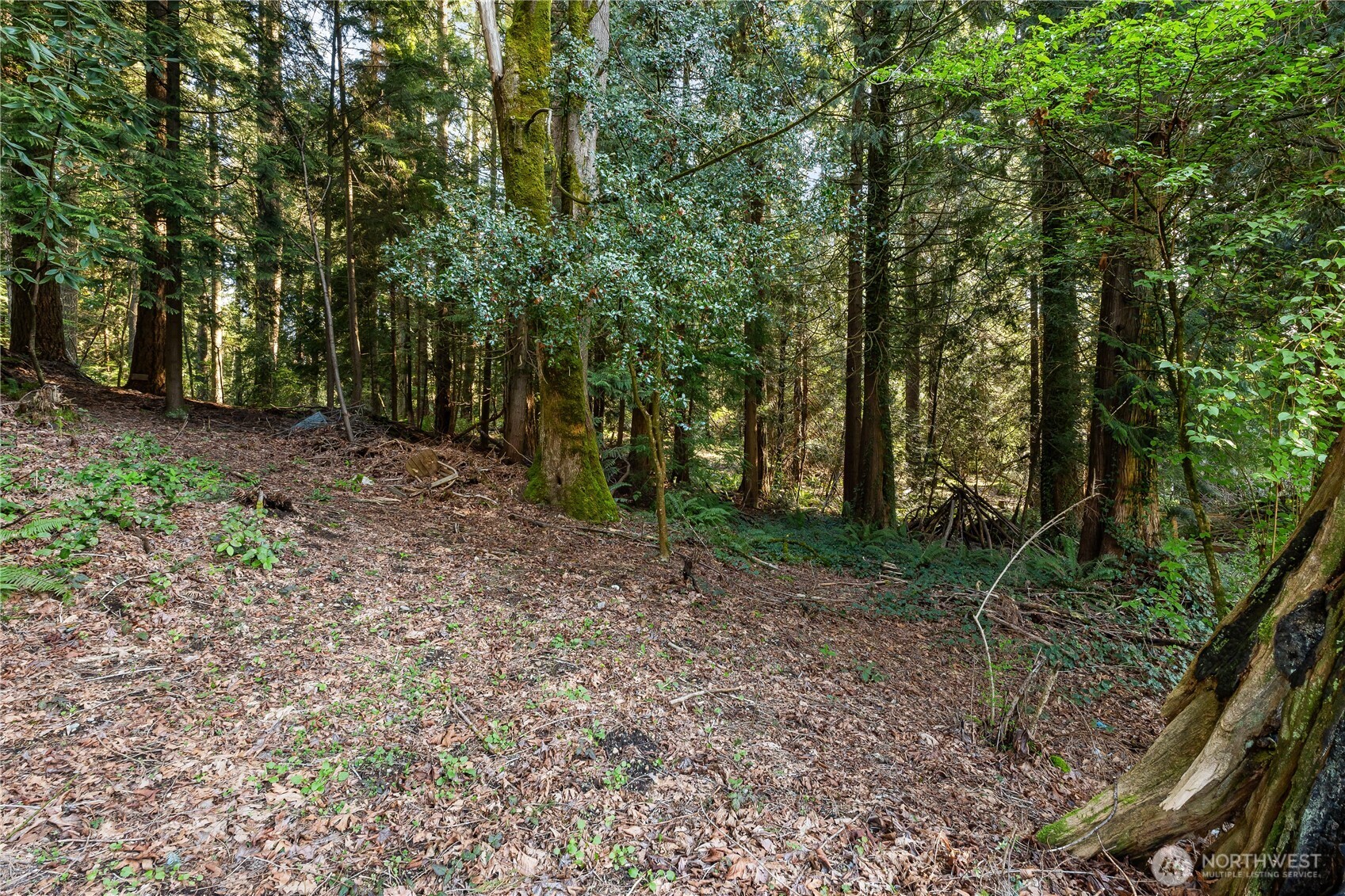 23323 49th Avenue Southeast Bothell, WA 98021 - Photo 19 of 21