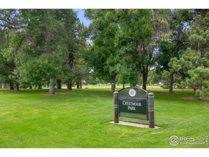 a view of a park with large trees