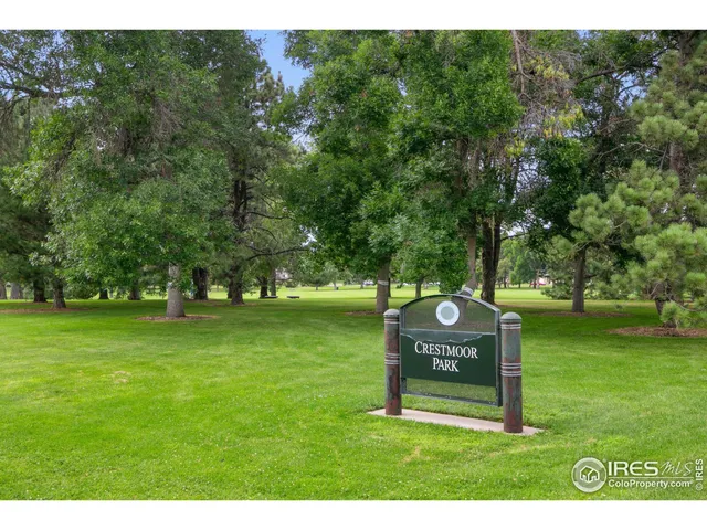 a view of a park with large trees