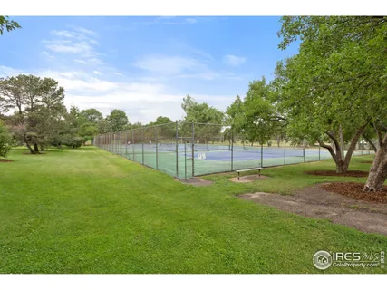 a view of a backyard with large trees