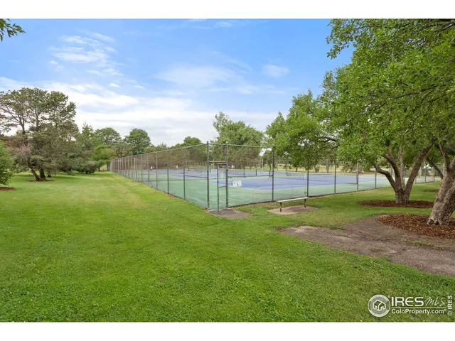 a view of a backyard with large trees