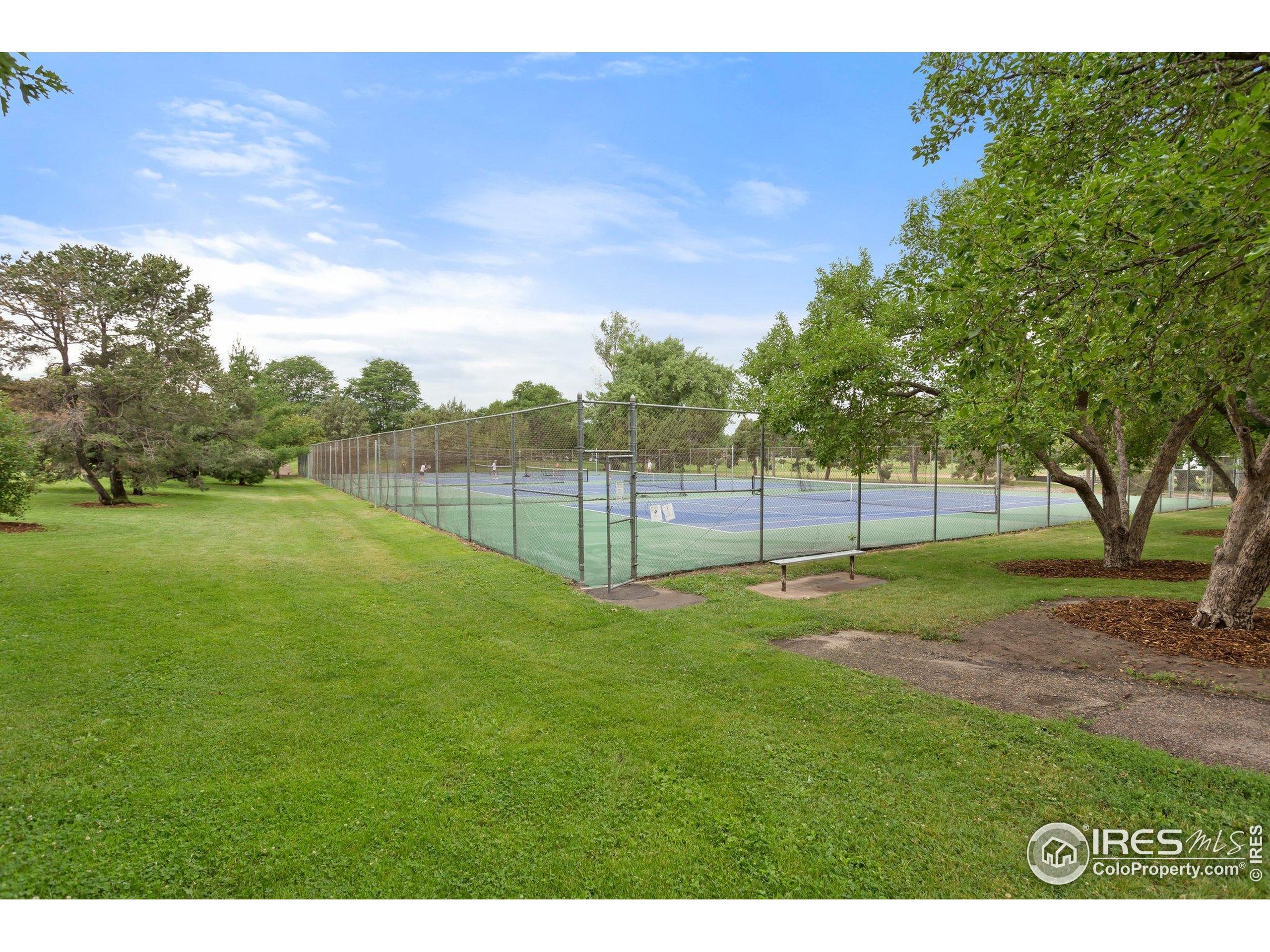 41 Quince Street Denver, CO 80230 - Photo 43 of 48 a view of a backyard with large trees
