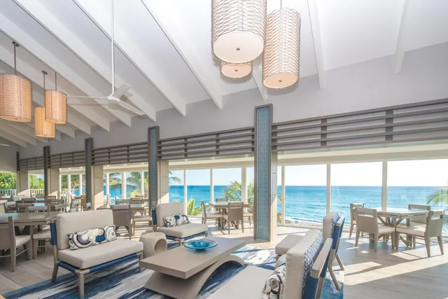 a view of a dining room with furniture a potted plant and a floor to ceiling window