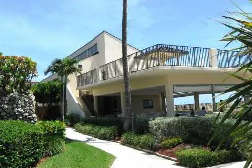 a view of a balcony with potted plants and palm tree