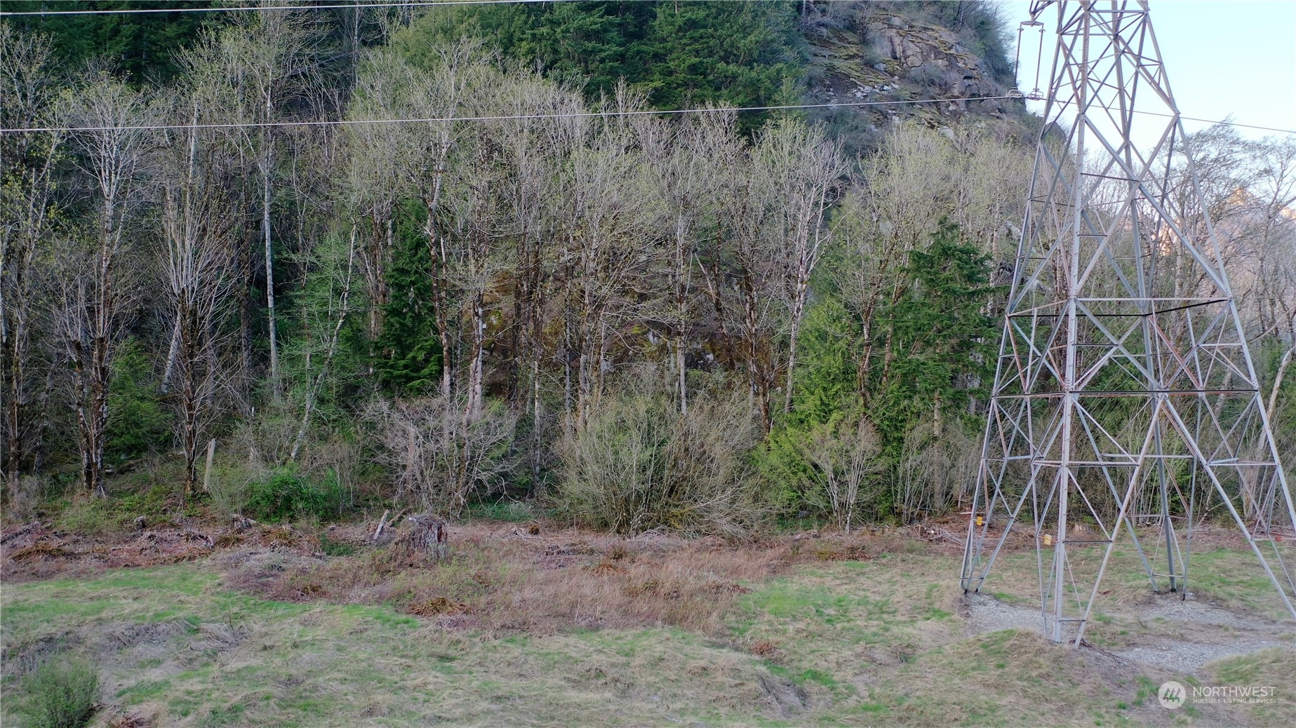 49235 Reiter Road Index, WA 98256 - Photo 10 of 31 a view of a yard