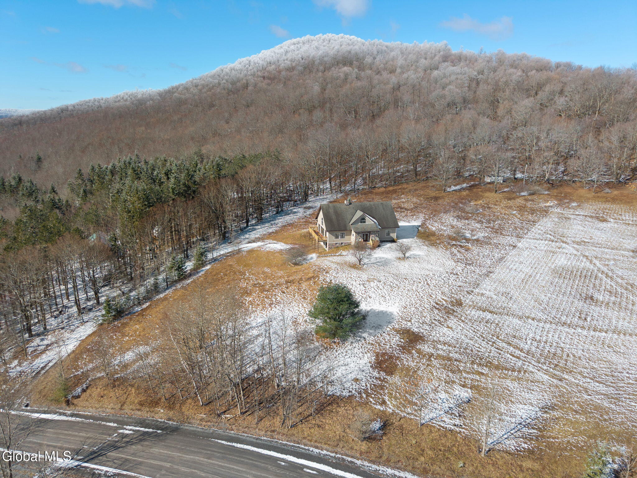 1563 Tower Mountain Road Stamford, NY 12167 - Photo 2 of 63 2-1563TowerMountainRd_02