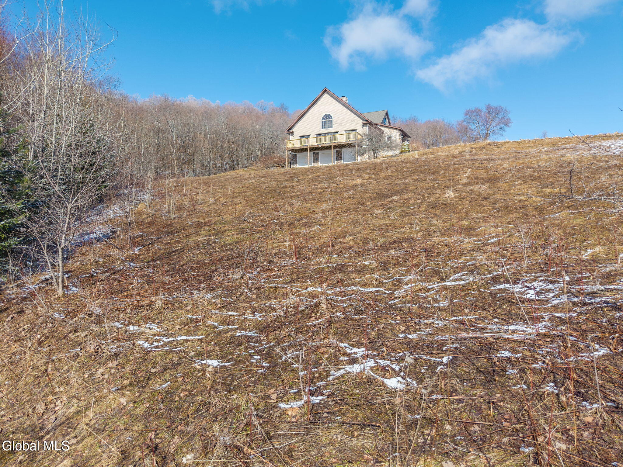 1563 Tower Mountain Road Stamford, NY 12167 - Photo 3 of 63 3-1563TowerMountainRd_03