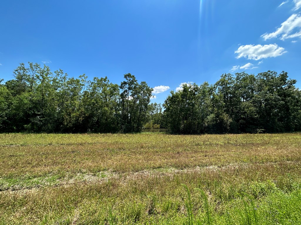 132.3-ac Green Road Dothan, AL 36303 - Photo 61 of 63