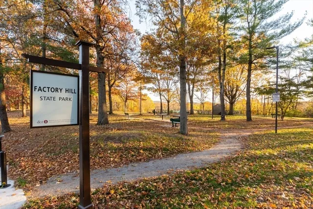 a view of a yard with trees