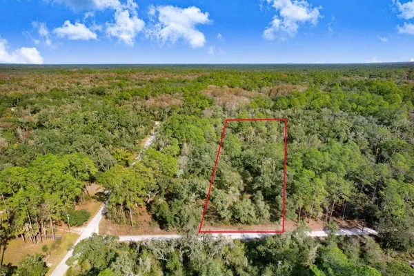 $40,000 | 7292 Sonia Avenue, Webster, FL 33597