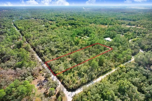 a view of a green field with lots of bushes
