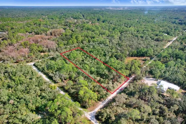an aerial view of a forest with houses