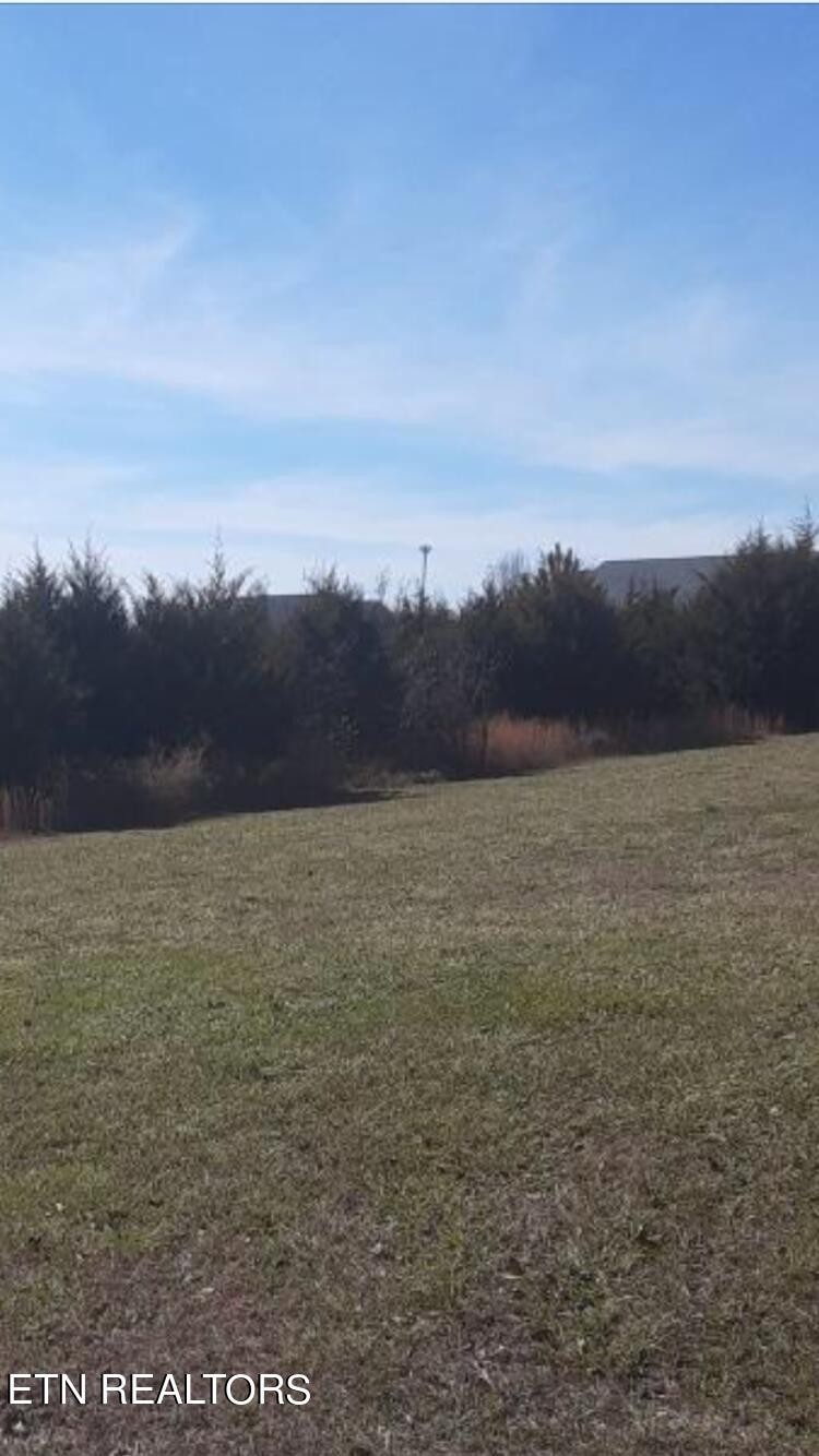 149 Cold Creek Road Madisonville, TN 37354 - Photo 2 of 3 Gallery Image 2