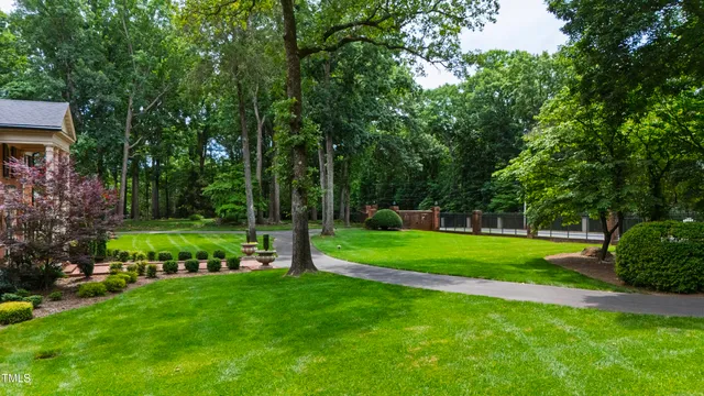 a view of a park with large trees