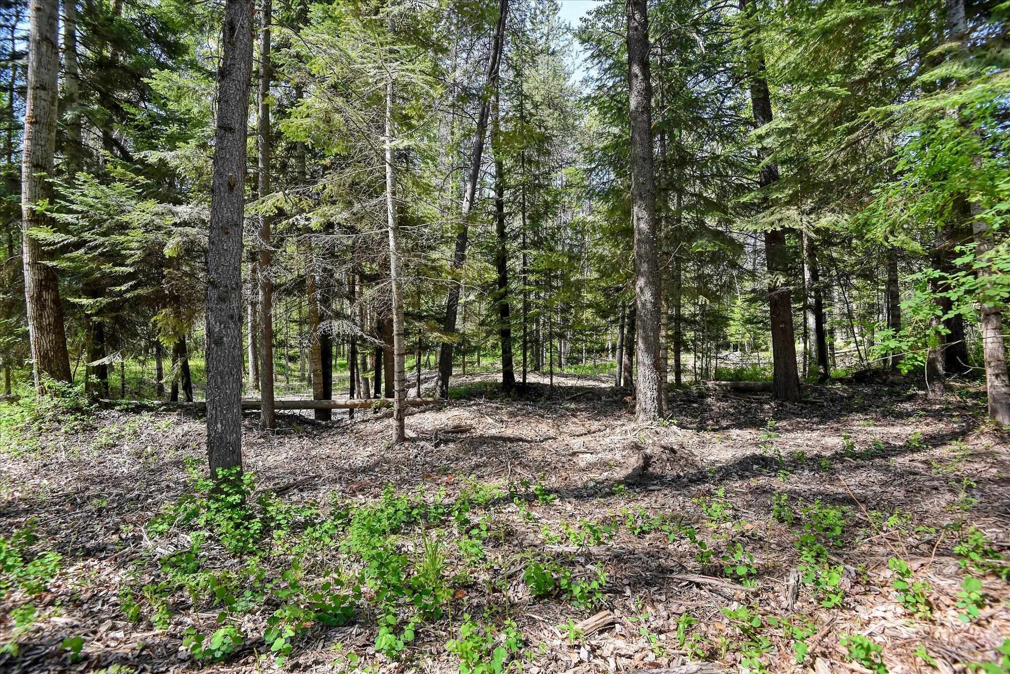 4930 Mason Road Clayton, WA 99110 - Photo 41 of 47