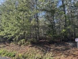 2 Timber Trail Newport, TN 37821 - Photo 1 of 1 Gallery Image 1
