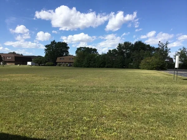 a view of a field with an ocean