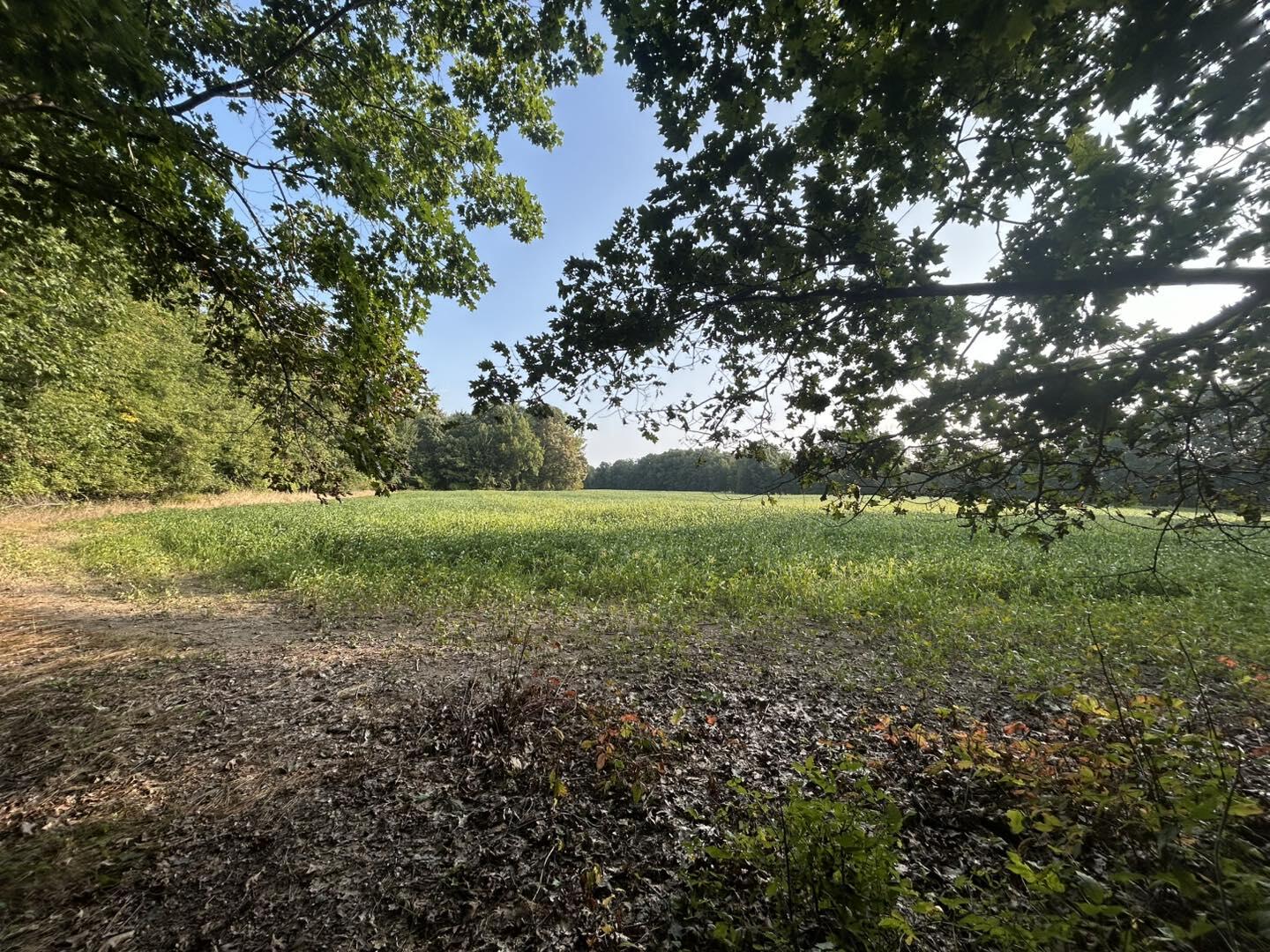 2331 Slater Road Hillsdale, MI 49242 - Photo 1 of 14 Vacant Land