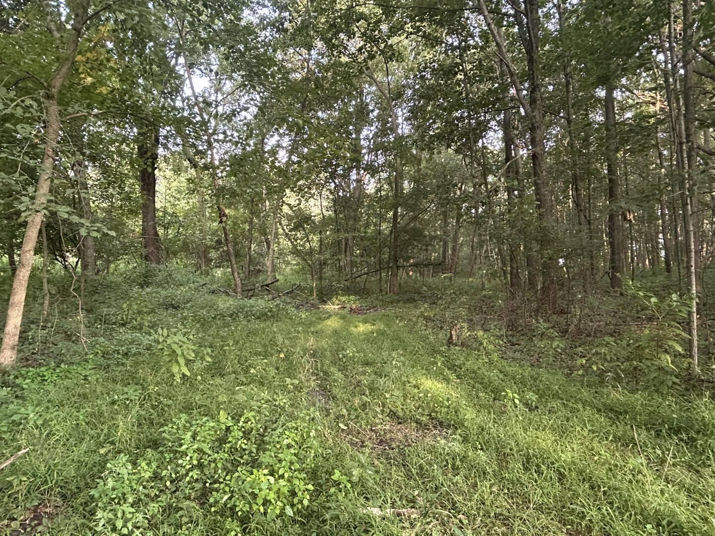2331 Slater Road Hillsdale, MI 49242 - Photo 11 of 14 NA10