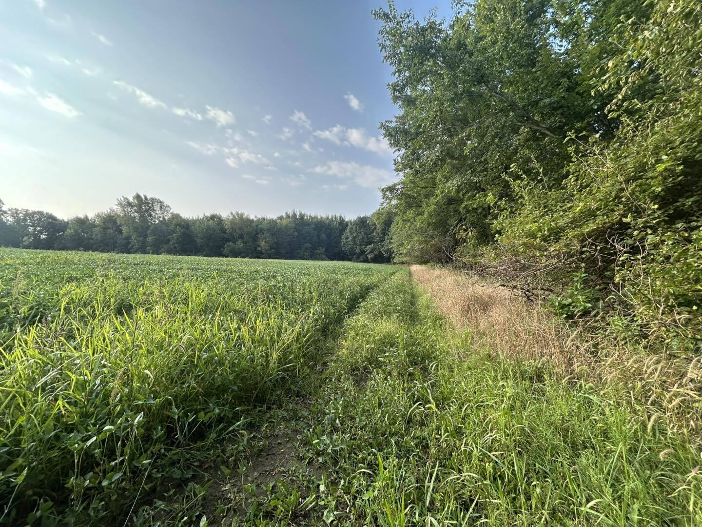 2331 Slater Road Hillsdale, MI 49242 - Photo 4 of 14 NA3