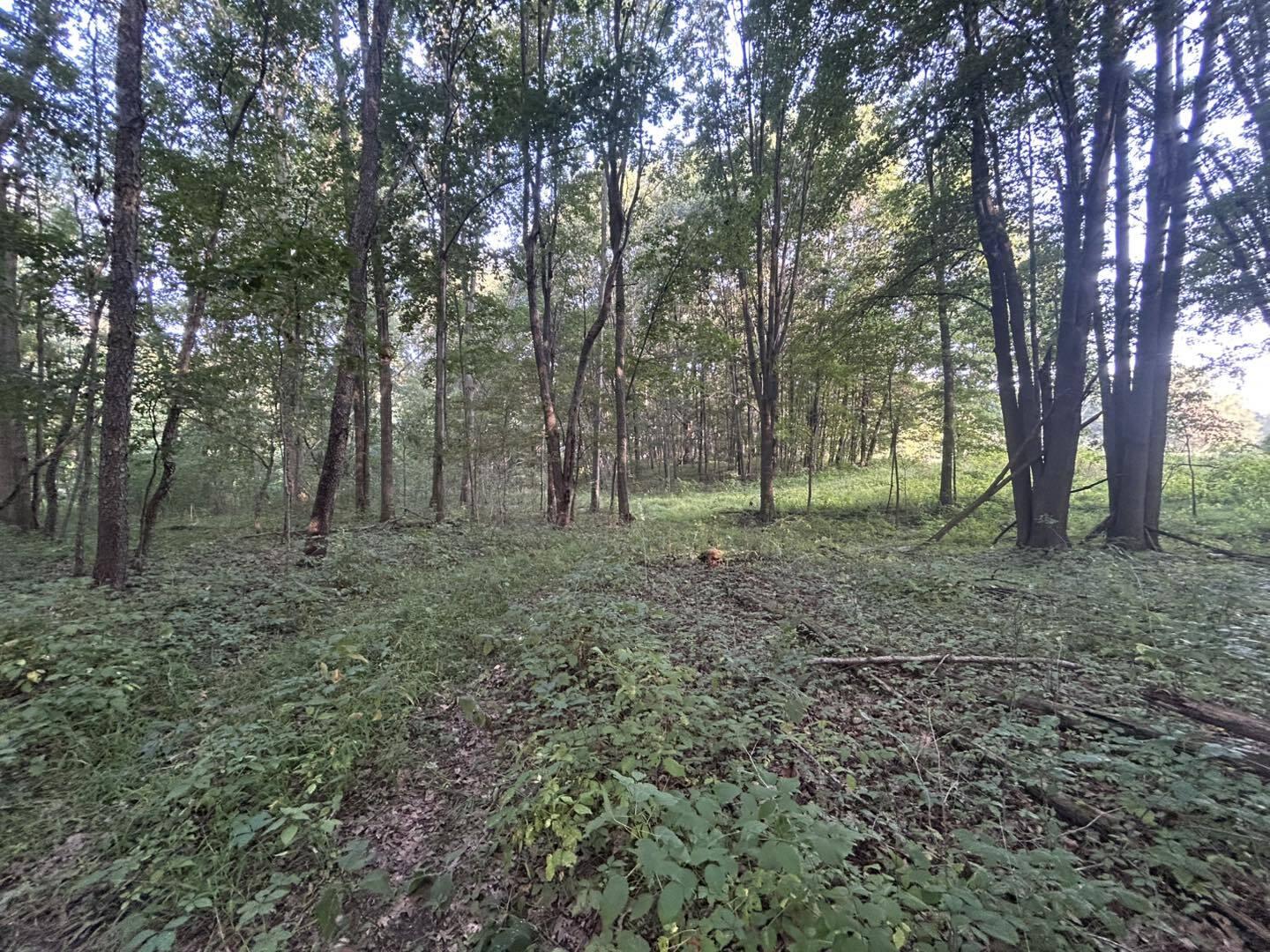 2331 Slater Road Hillsdale, MI 49242 - Photo 9 of 14 NA8
