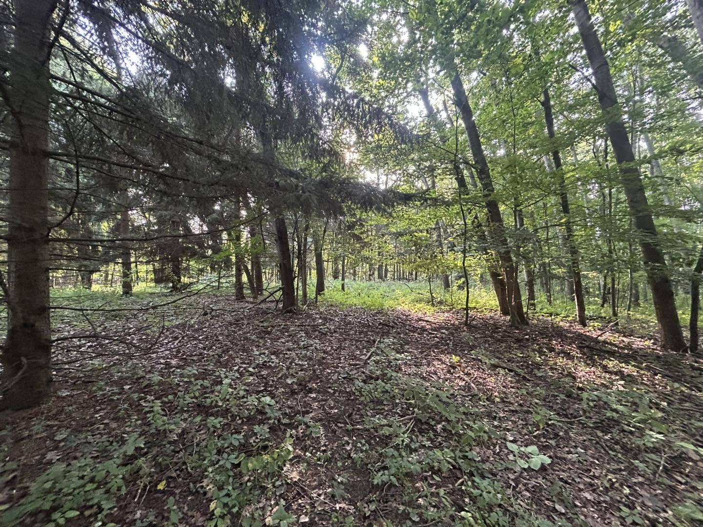 2331 Slater Road Hillsdale, MI 49242 - Photo 10 of 14 NA9