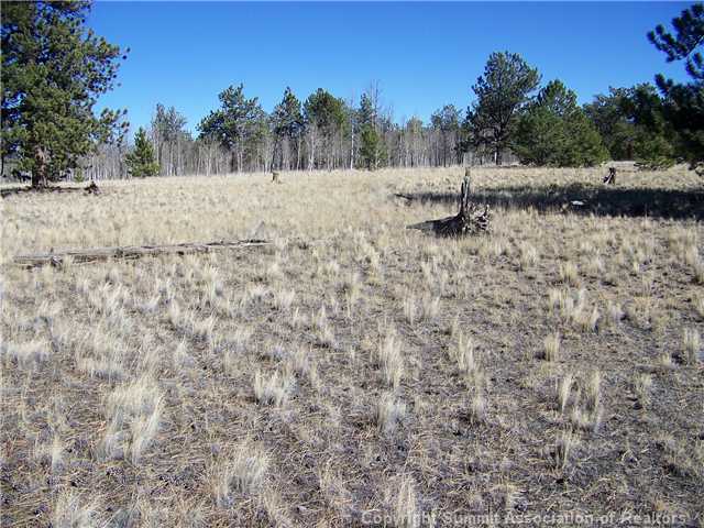 582 Yellowstone Road Hartsel, CO 80449 - Photo 3 of 9 Land/Lot.