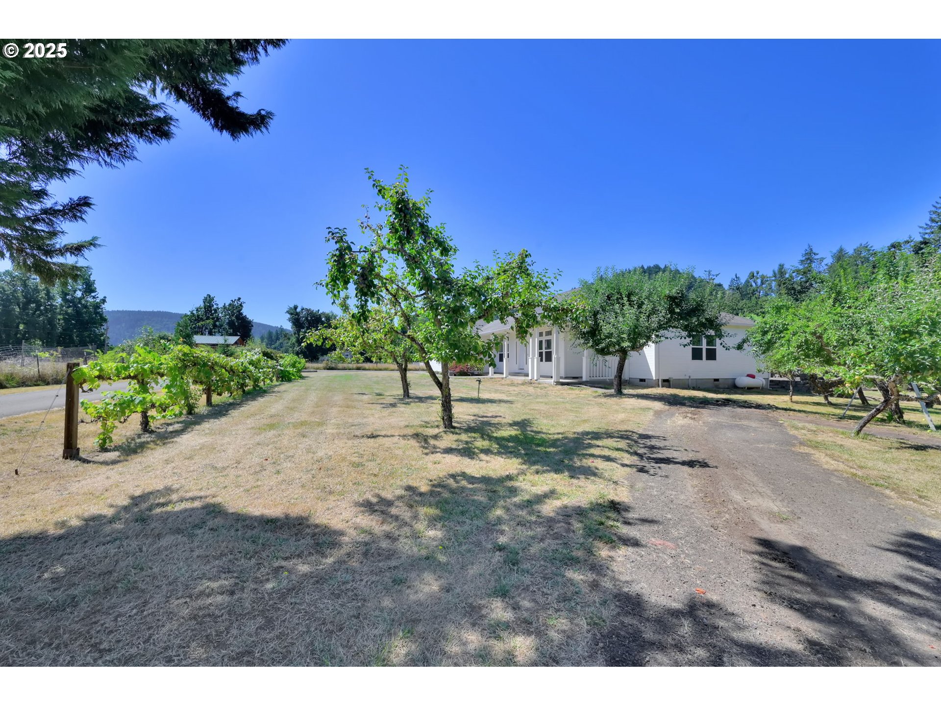37362 Camp Creek Road Springfield, OR 97478 - Photo 40 of 48 Gallery Image 40