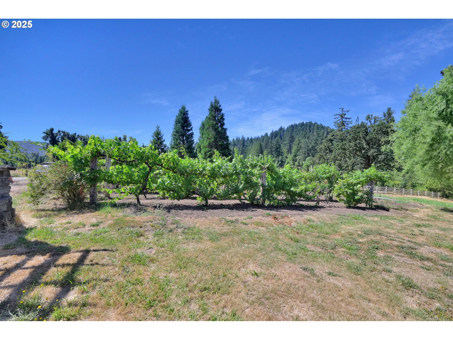 37362 Camp Creek Road Springfield, OR 97478 - Photo 41 of 48 Gallery Image 41