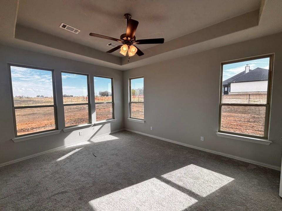 128 Pheasant Run Drive Rhome, TX 76078 - Photo 8 of 14 Tray ceiling with a ceiling fan, multiple windows, and light gray wall paint