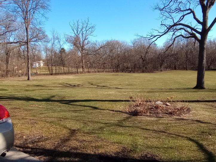 181 North Prince Crossing Road West Chicago, IL 60185 - Photo 62 of 62 a view of a yard with an ocean beach