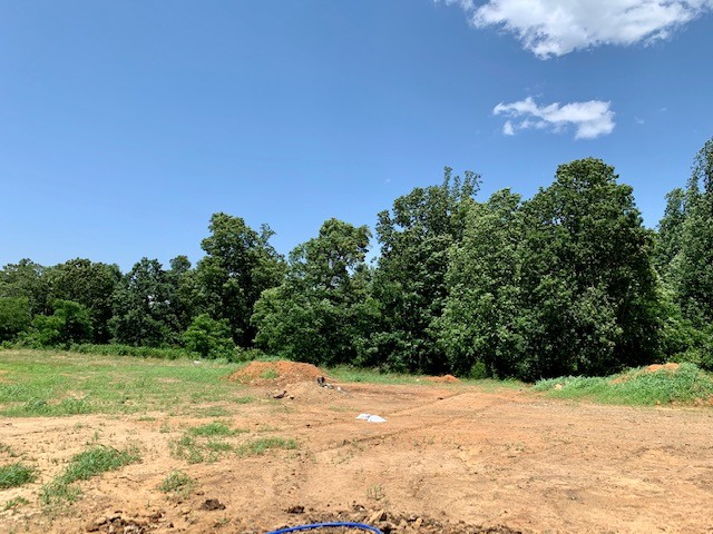 226 Northup Road Portland, TN 37148 - Photo 3 of 16 Gallery Image 3