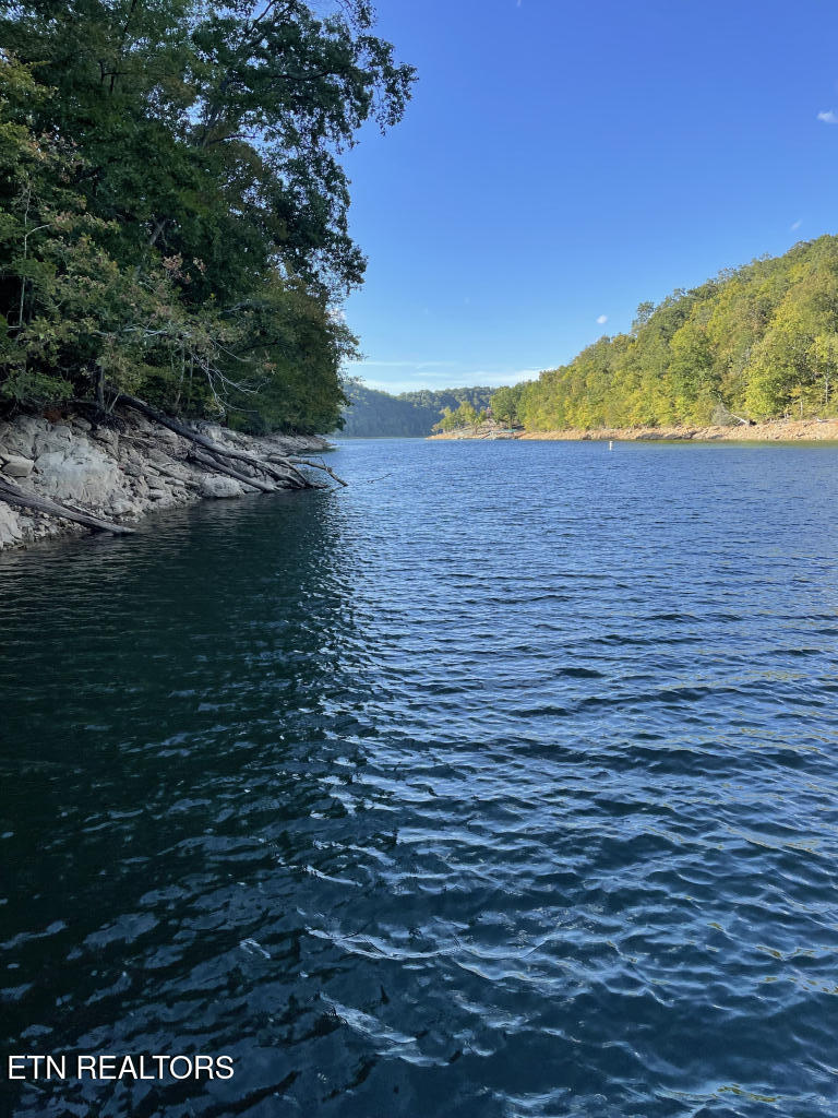 310 Jessee Road Maynardville, TN 37807 - Photo 4 of 9 310-Jesse-Rd-04