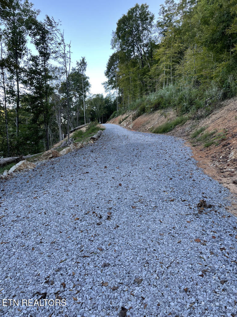 310 Jessee Road Maynardville, TN 37807 - Photo 9 of 9 310-Jesse-Rd-09