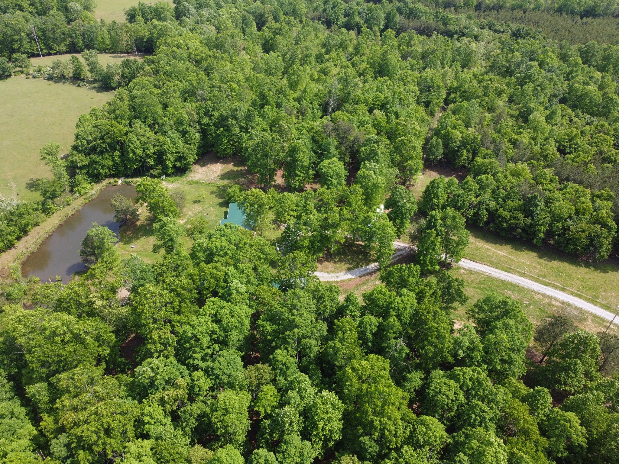 253 Soldier Road Altamont, TN 37301 - Photo 1 of 59 Gallery Image 1