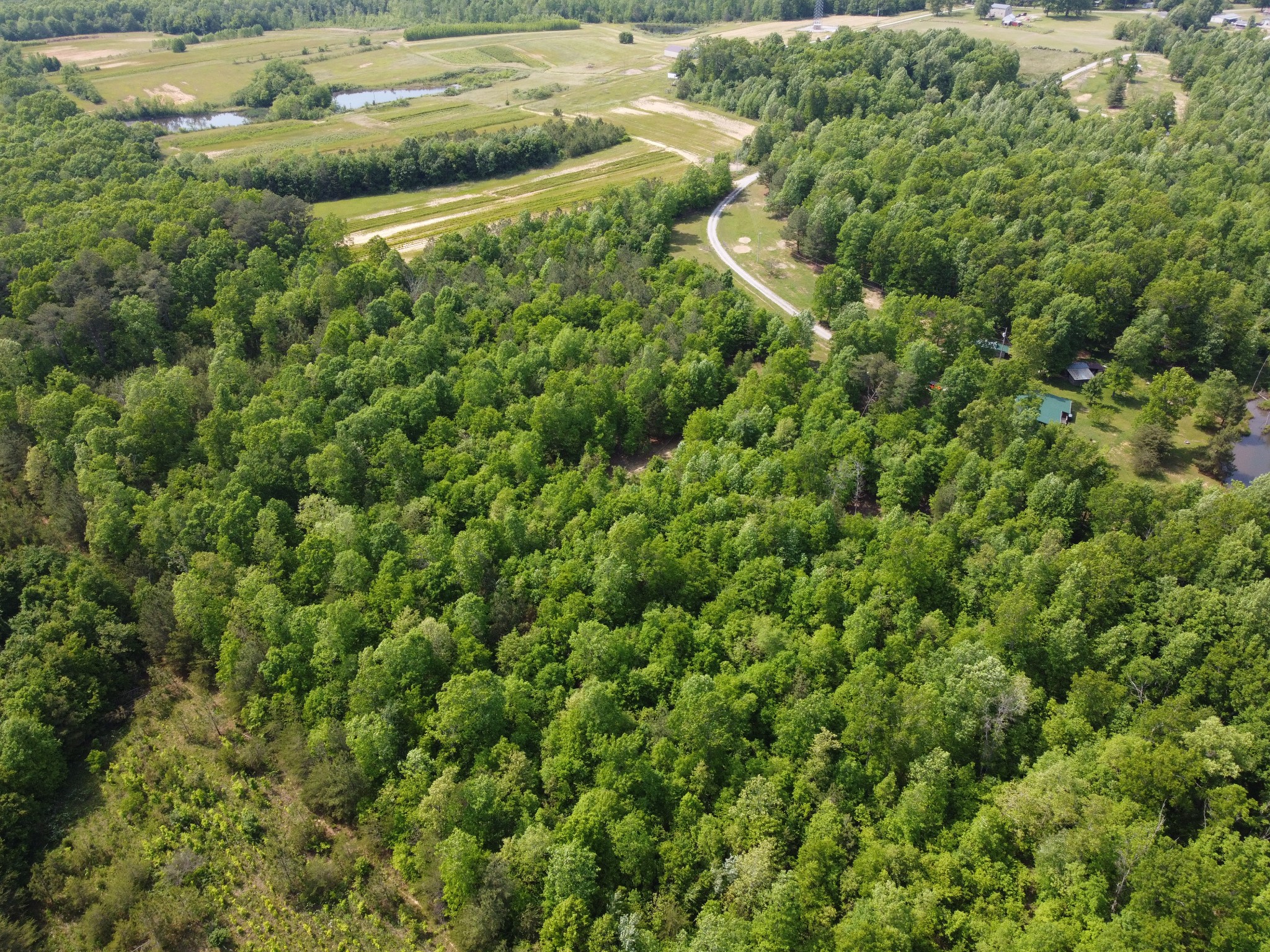 253 Soldier Road Altamont, TN 37301 - Photo 12 of 59 Gallery Image 12