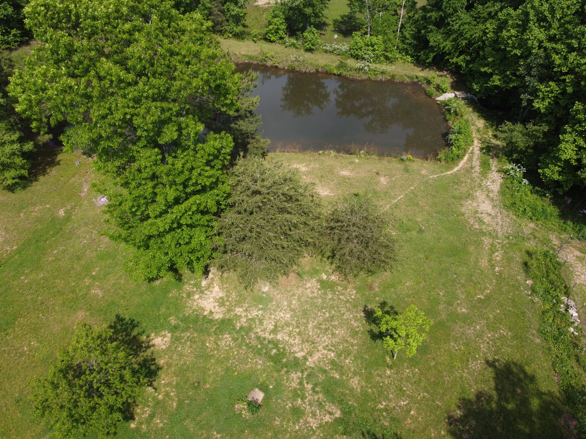 253 Soldier Road Altamont, TN 37301 - Photo 13 of 59 Gallery Image 13